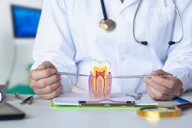 Best Emergency Treatment for Toothache in Tashua, CT